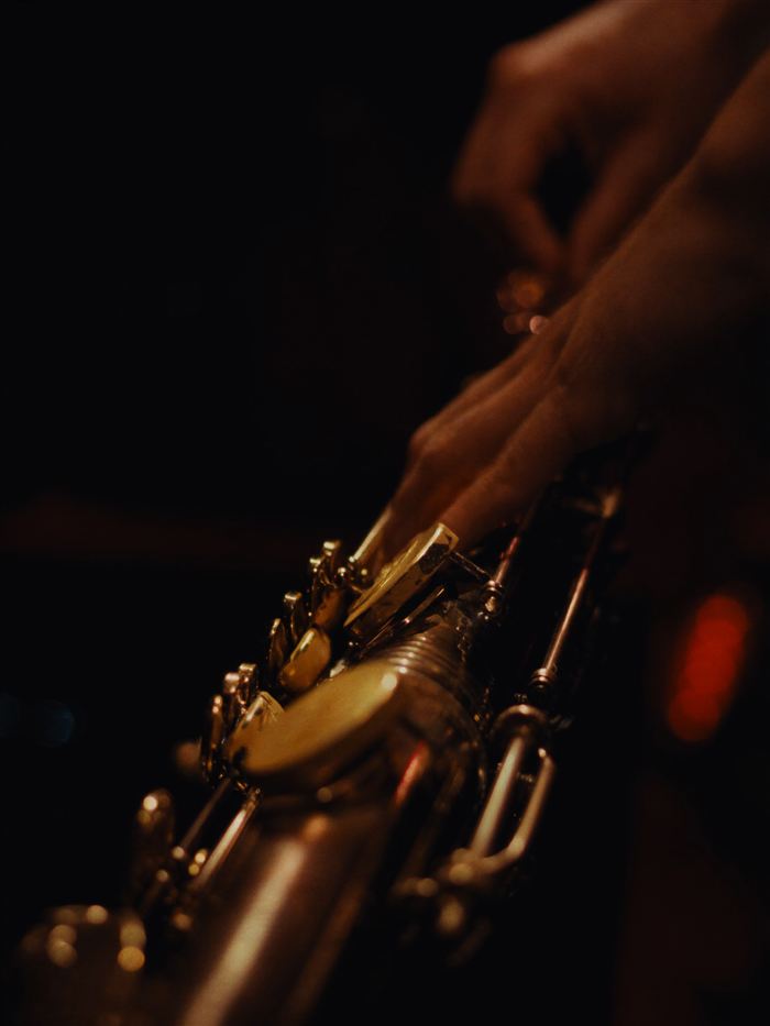 DJ + Saxophon Live-Performance